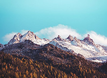 乐鱼官网：一站式娱乐平台的全新体验